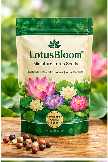 LotusBloom™ - Miniature Lotus Seeds - Buy 1 Get 1 Packet FREE